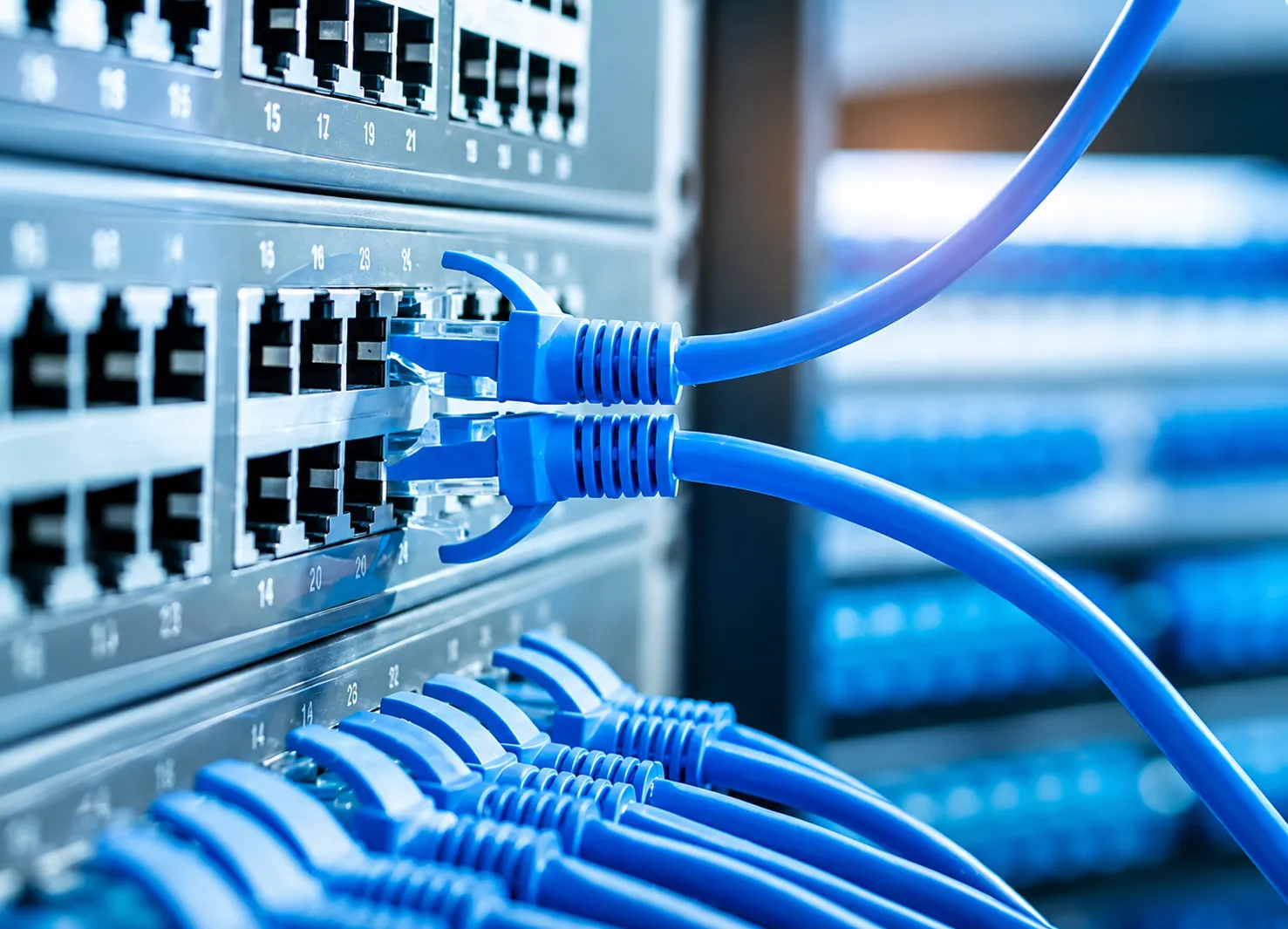 RJ45 Connectors for Ethernet Switches.webp